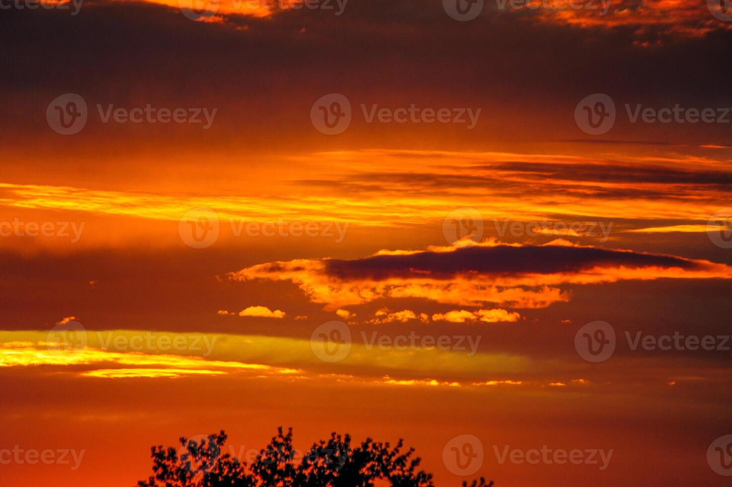 A beautiful sunset featuring a lone tree in the foreground of the scene photo