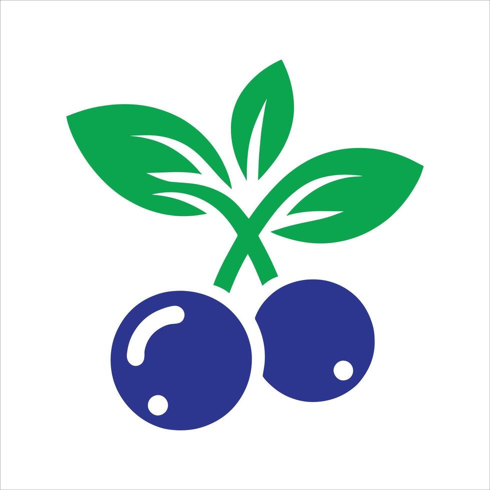 Blueberry With Green Leaf vector