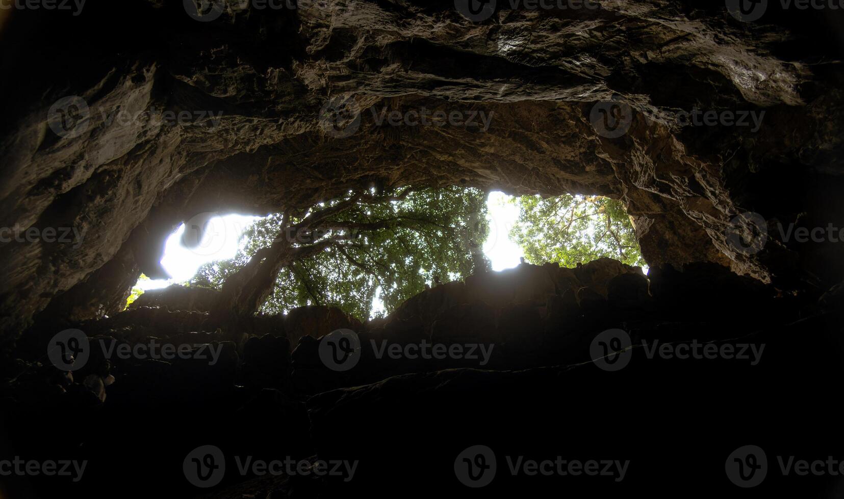 Exploring the natural beauty of Cacahuamilpa Caves National Park from below photo