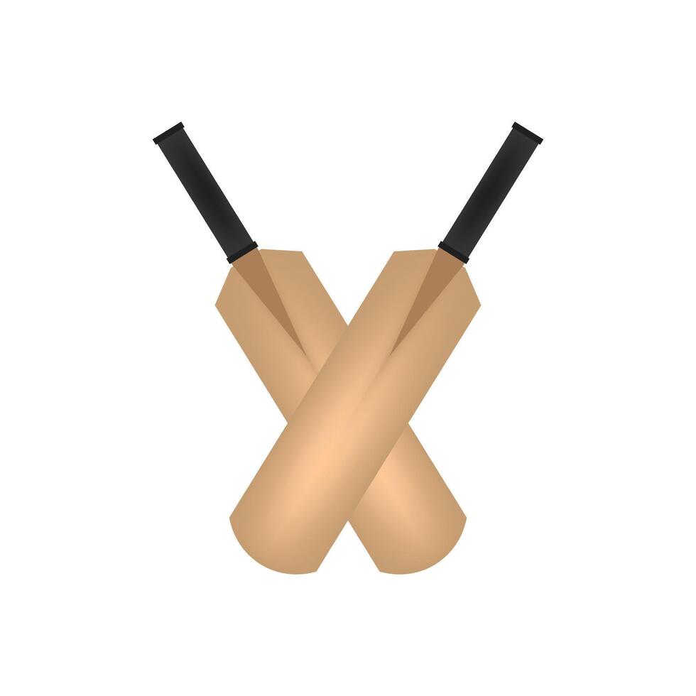 Cricket bat illustration on white background vector