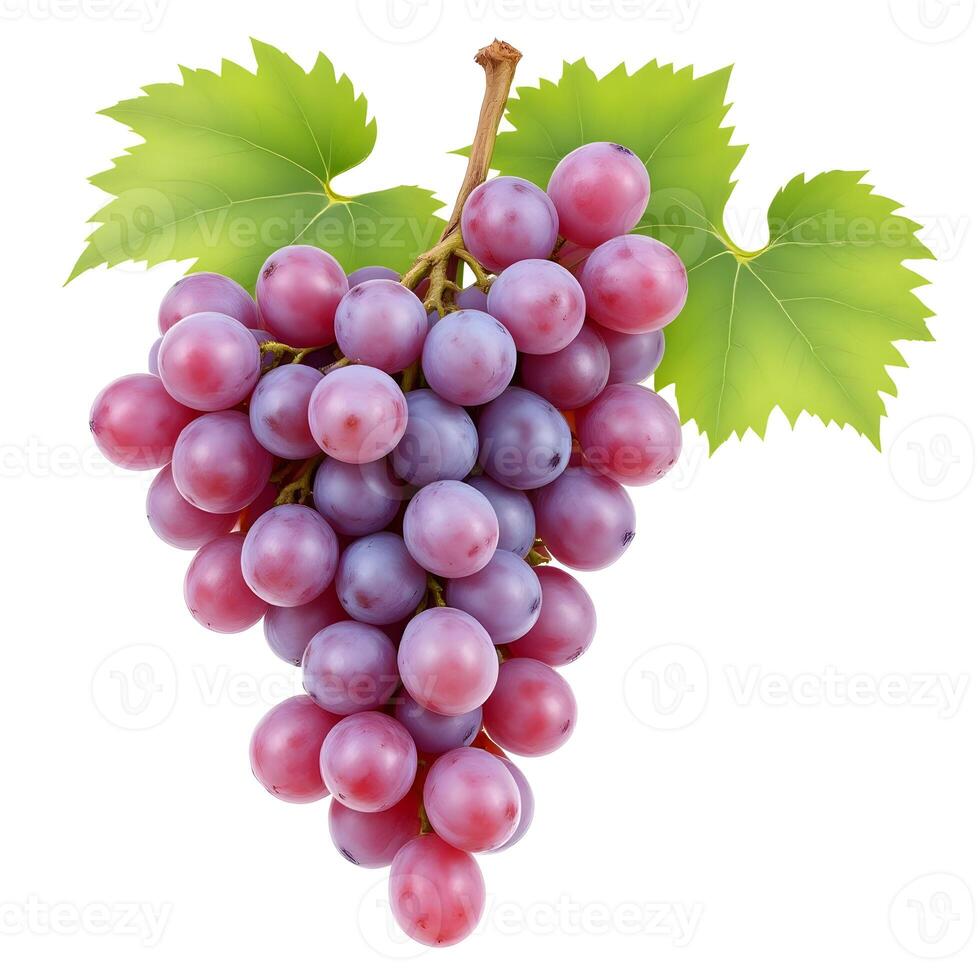 Grapes on the white background photo