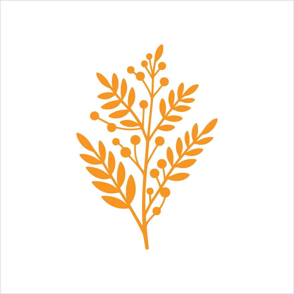 A branch with leaves and berries on a white background vector