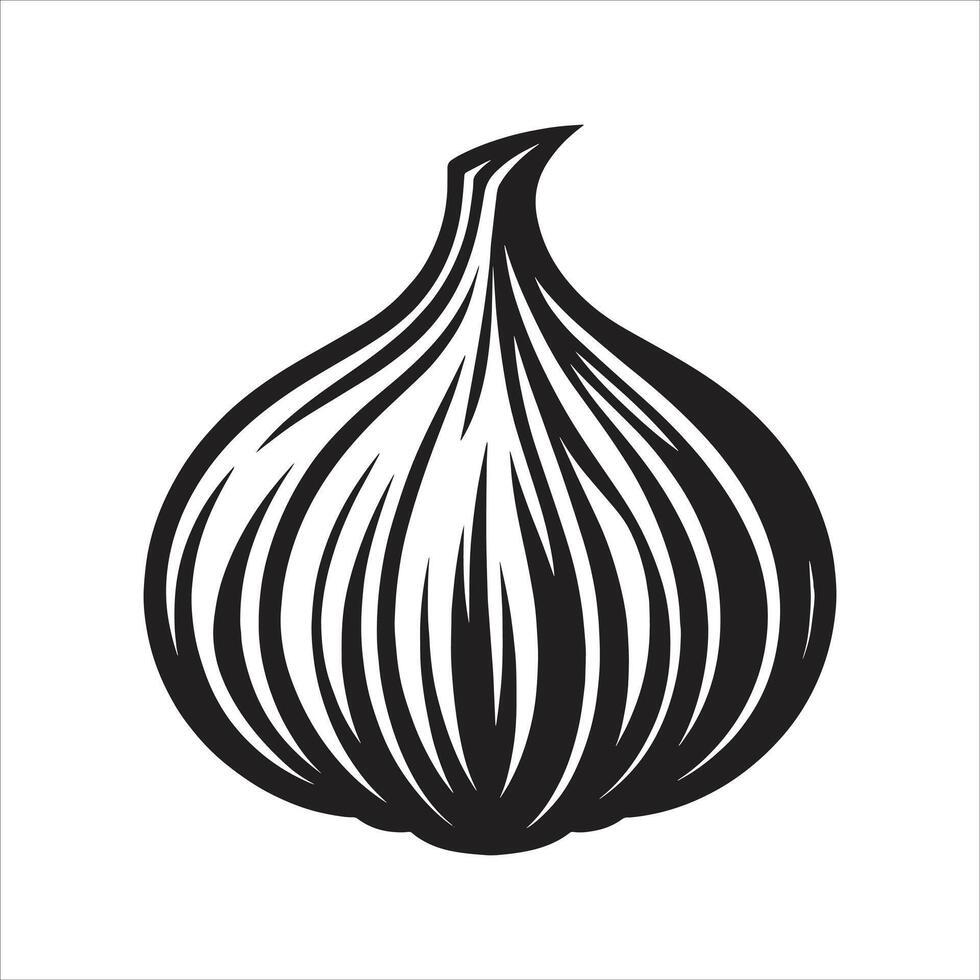 An onion is shown on a white background vector