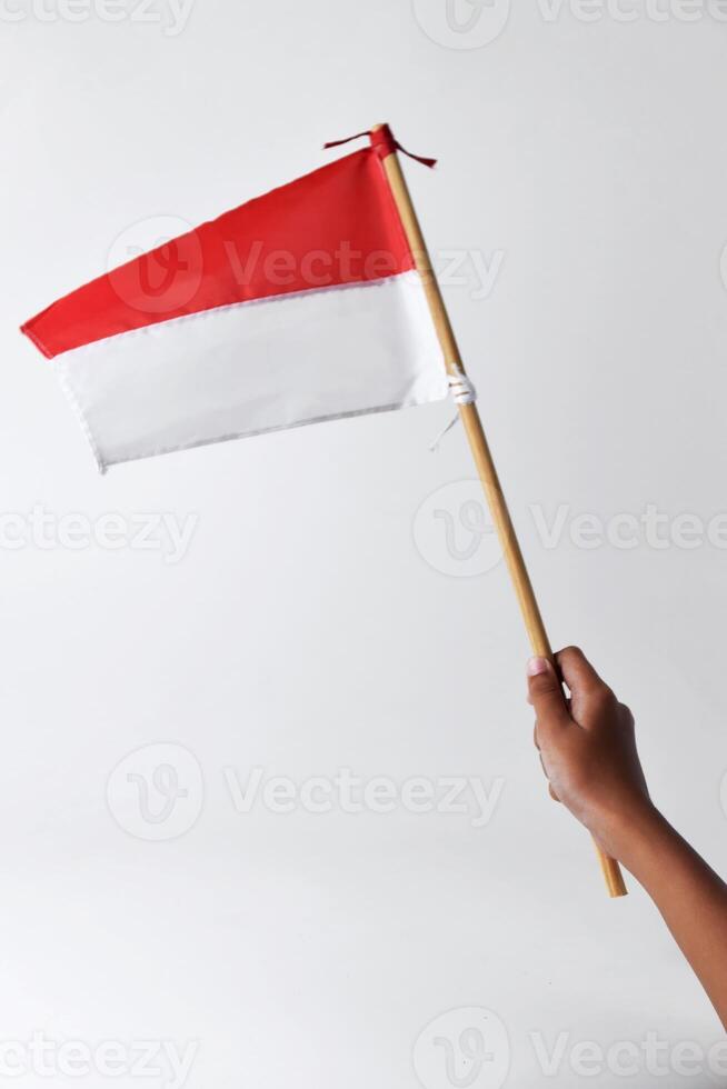 A child's hand holds and waves the red and white flag photo