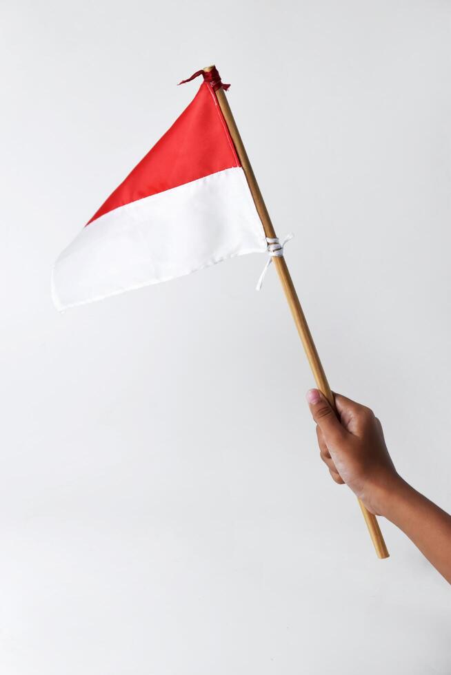 A child's hand holds and waves the red and white flag photo