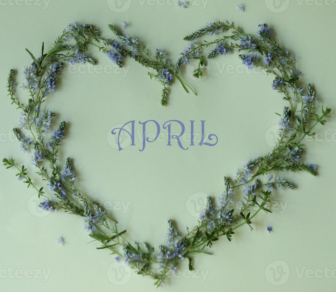 Heart shaped botanical frame with copy space. Floral background with text. April photo