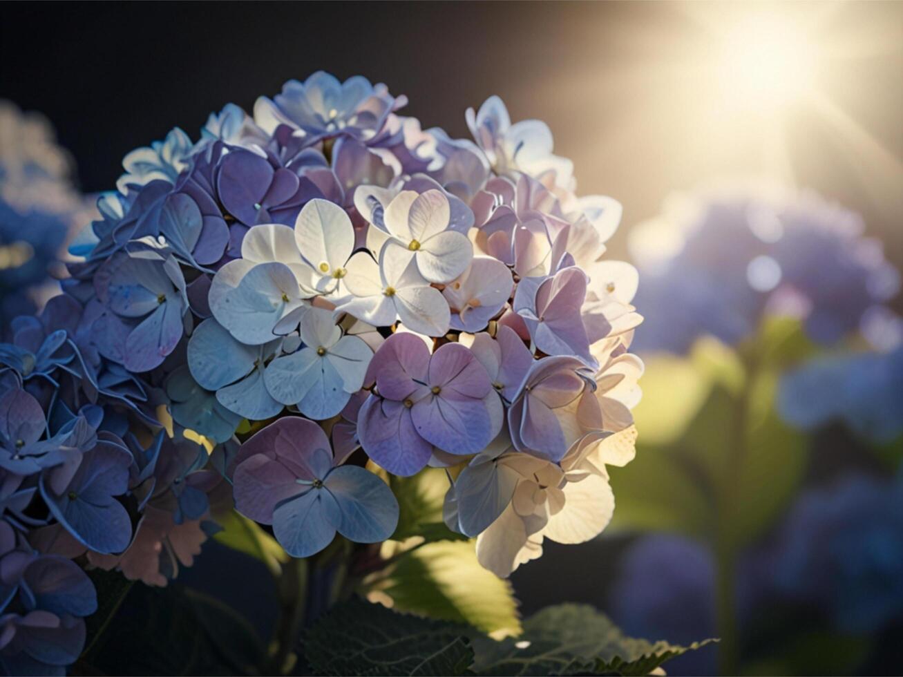 Hydrangea Closeup Picture for banner, poster, cover, brochure or presentation. photo