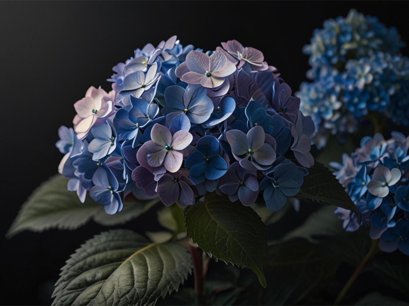 Hydrangea Closeup Picture for banner, poster, cover, brochure or presentation. photo
