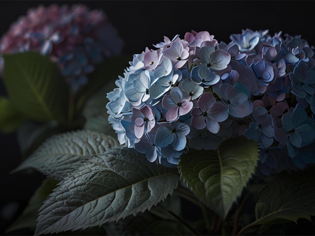 Hydrangea Closeup Picture for banner, poster, cover, brochure or presentation. photo