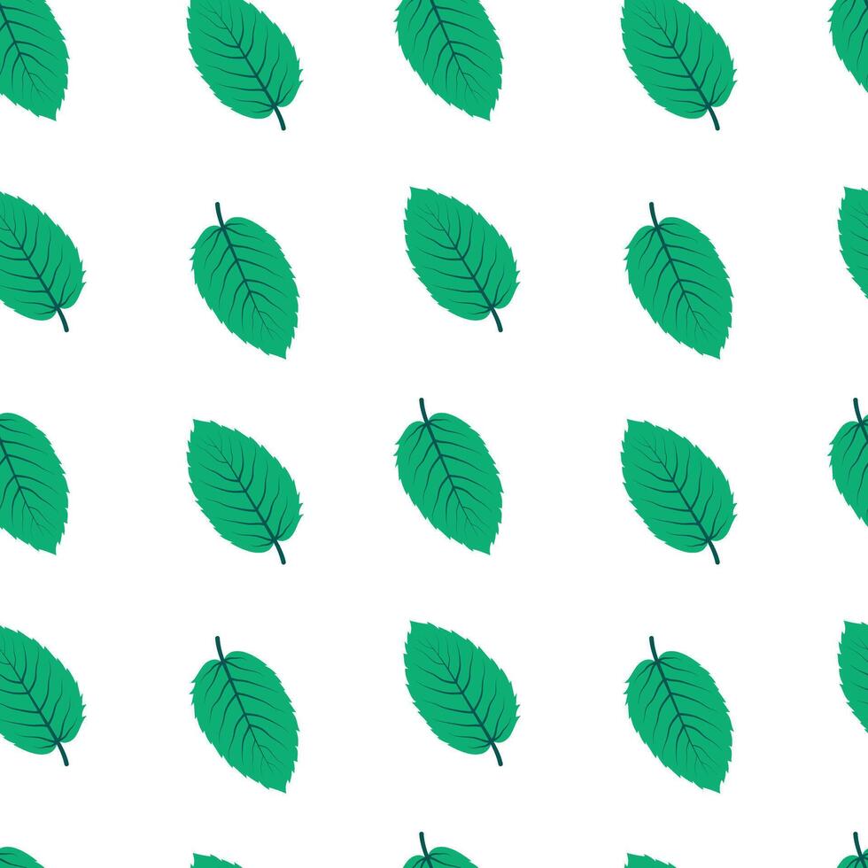 Mint leaf seamless pattern. Green leaves of mint or birch. Isolated illustration for background, fabric, packaging, cover vector