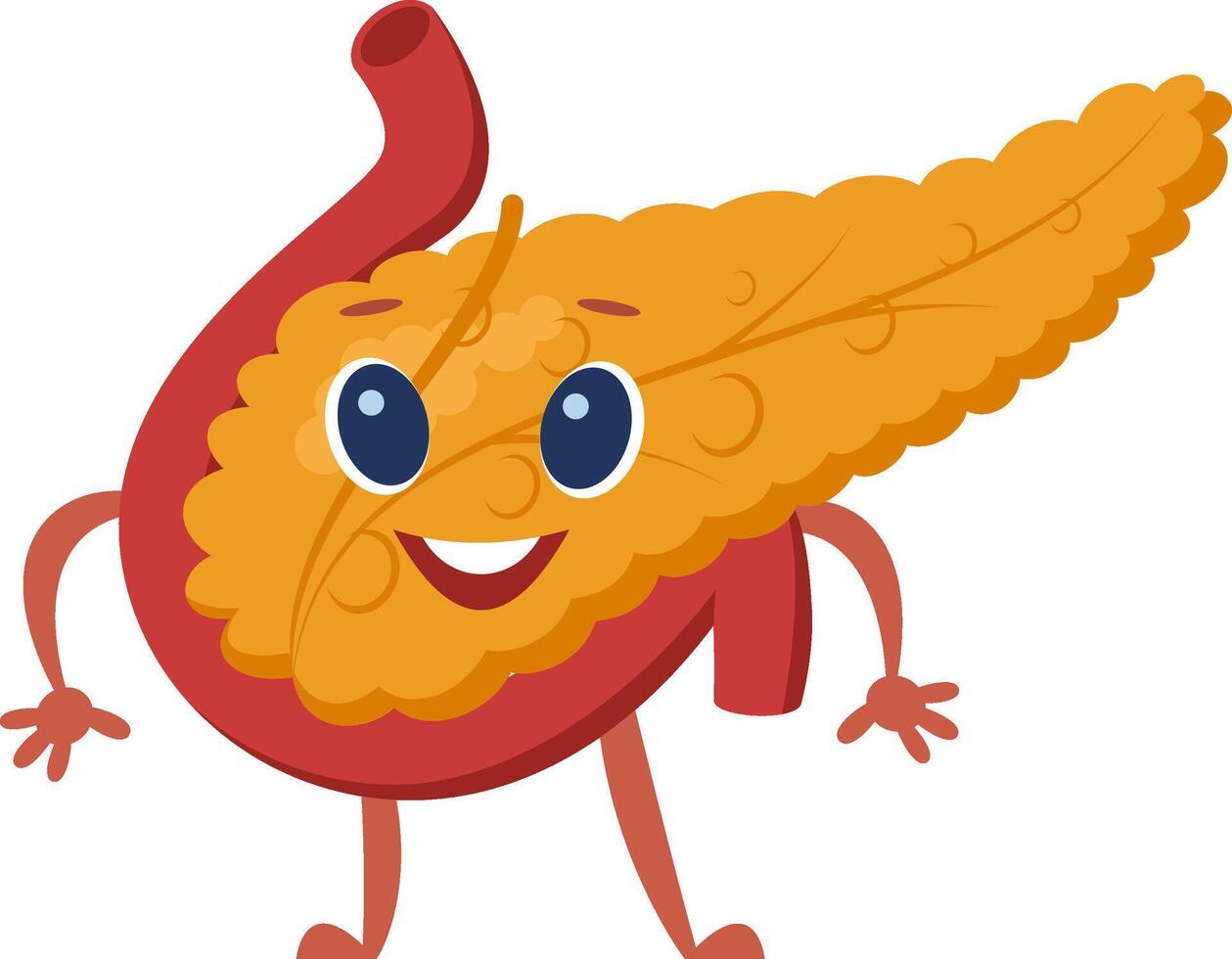 Cartoon representation of a healthy pancreas and duodenum with a smiling face, promoting awareness of digestive health and medical education vector
