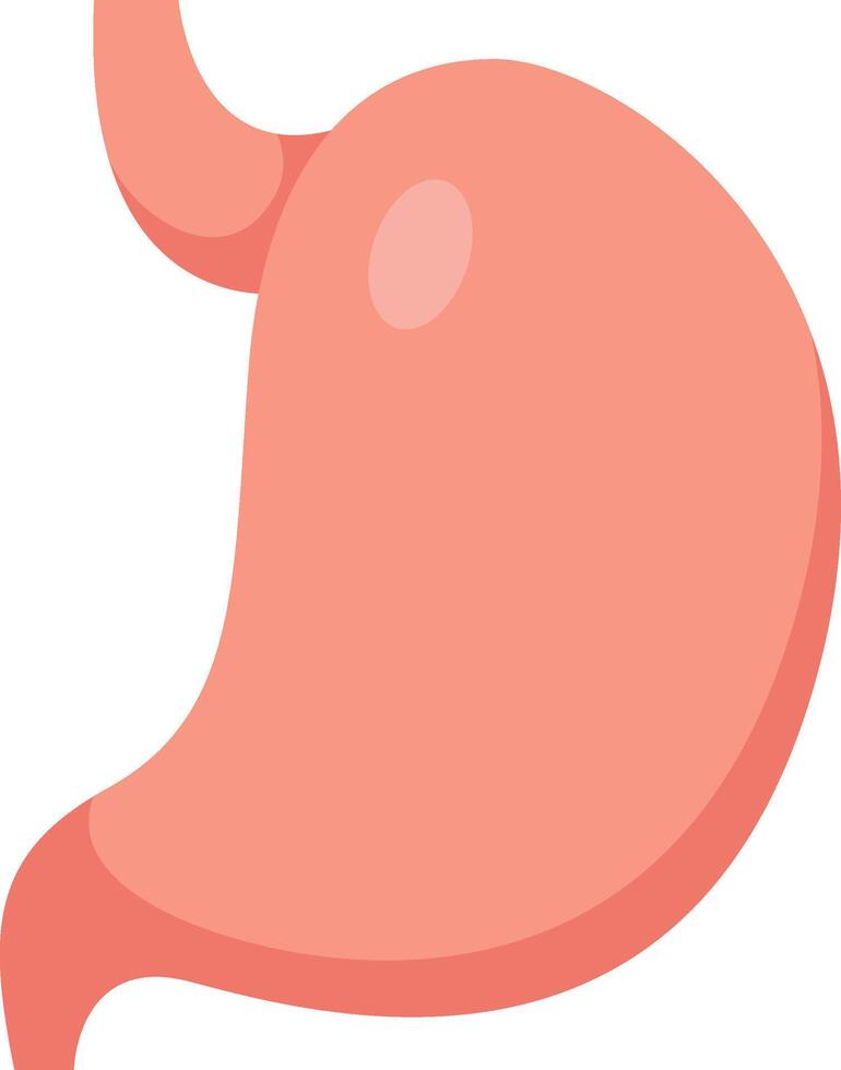 Healthy stomach promoting good digestion and overall well being, emphasizing the importance of gastric health in maintaining a healthy lifestyle vector