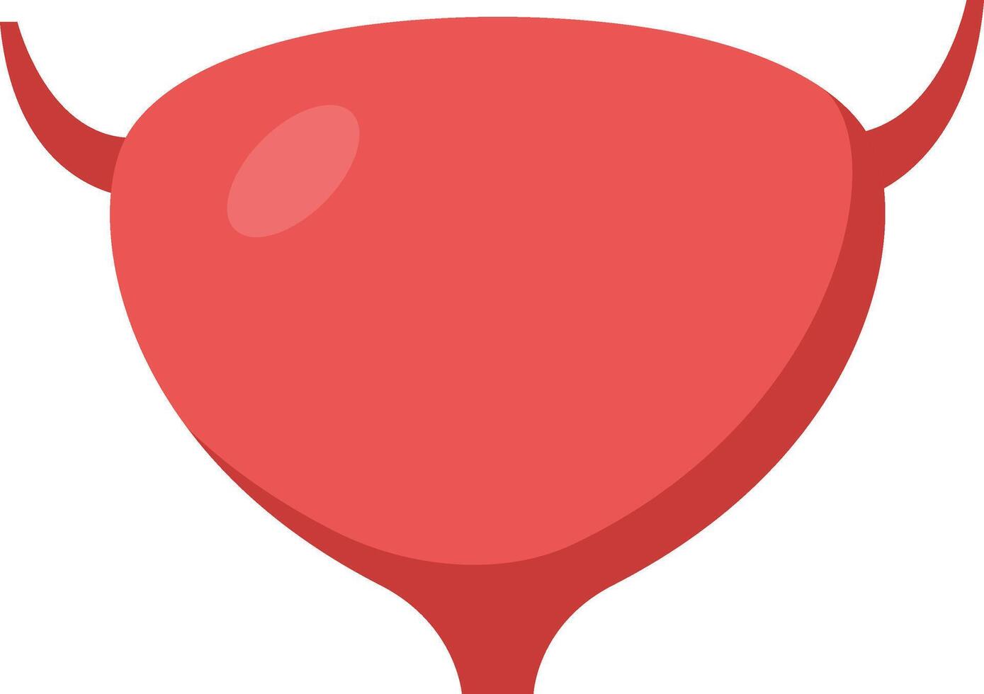 Medical illustration showcasing the human bladder storing urine, highlighting its role in the urinary system and overall health maintenance, depicted in a simple and informative style vector