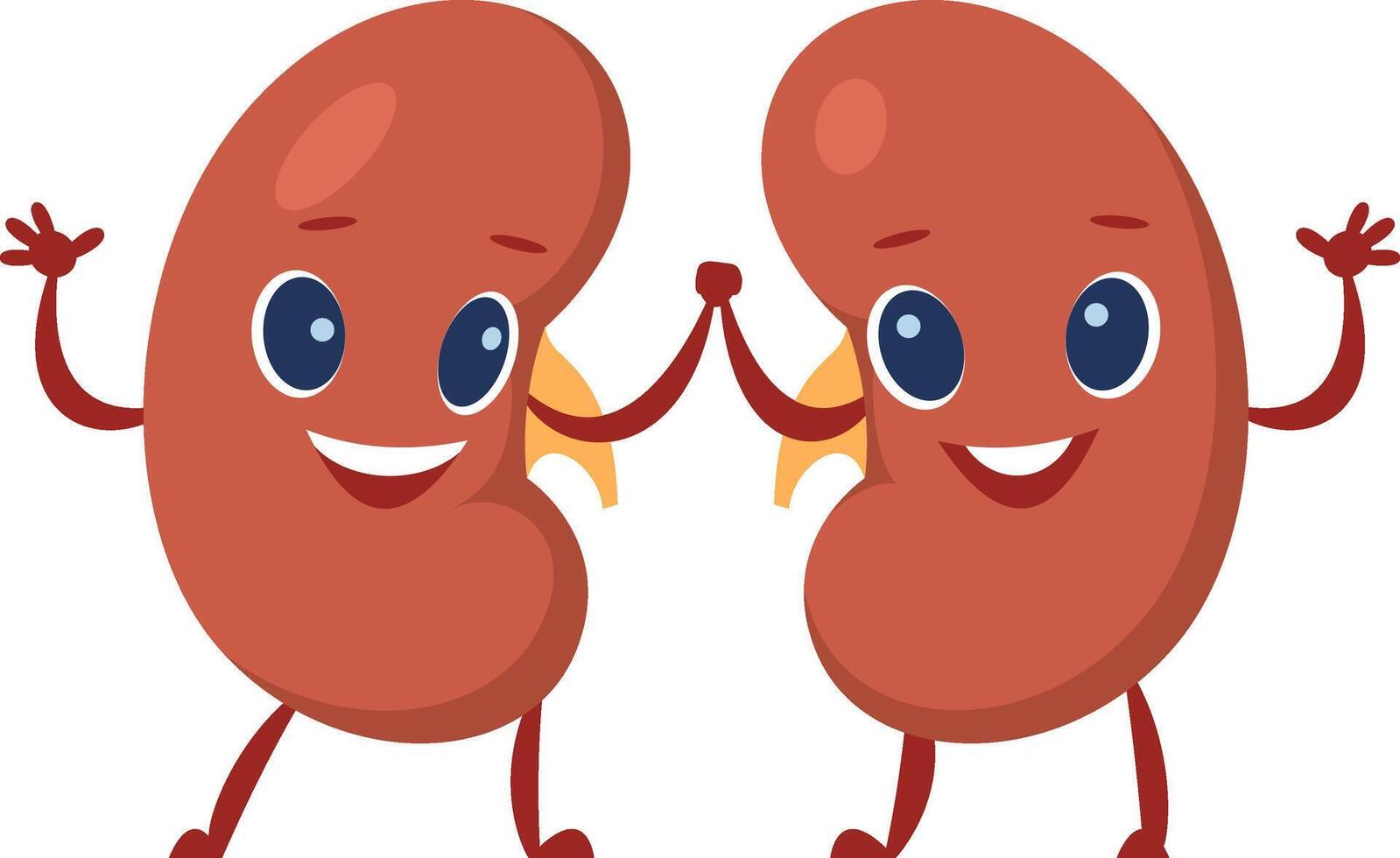 Two cheerful kidney characters promoting health and wellness by holding hands and waving, engaging viewers in learning about renal function and disease prevention vector