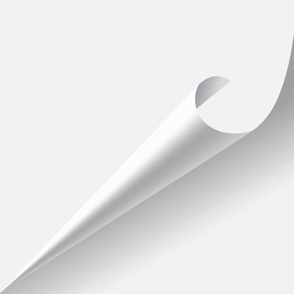 White page corner is peeling up from the bottom left corner, curling over to reveal the reverse side of the sheet, creating a dynamic and intriguing visual element vector
