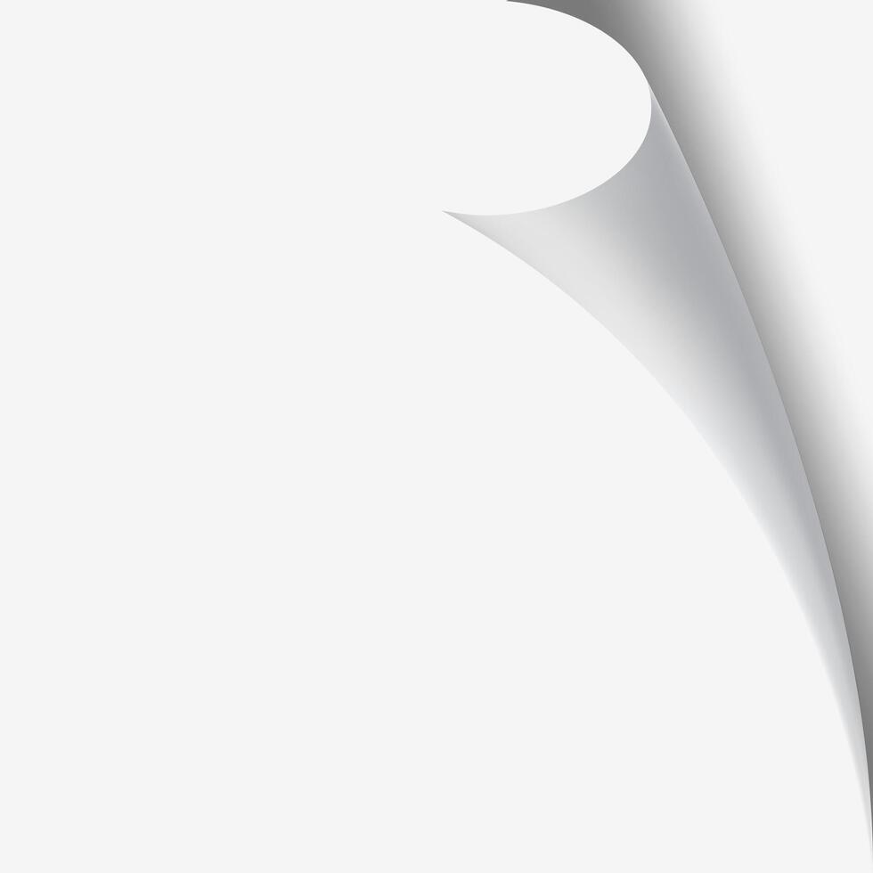 Realistic illustration of a curled white paper corner creating a shadow effect on an empty background, offering a simple yet elegant design vector