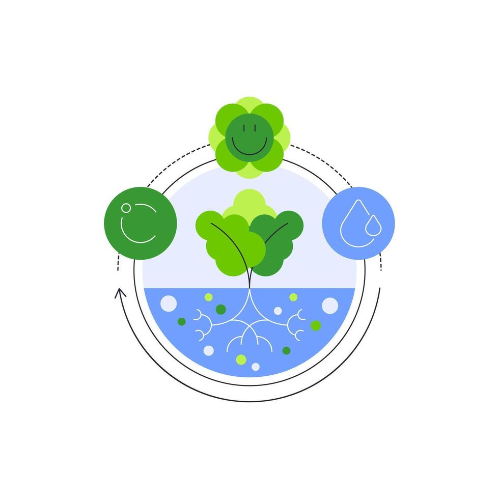 Hydroponics. Plant growing in capsule with water. Plant growing and care. Growth scheme vector