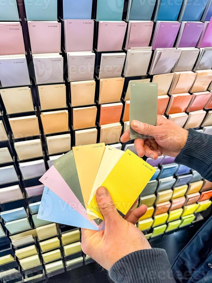 Customer Selecting Paint Swatches in Colourful Hardware Store Display. High quality photo