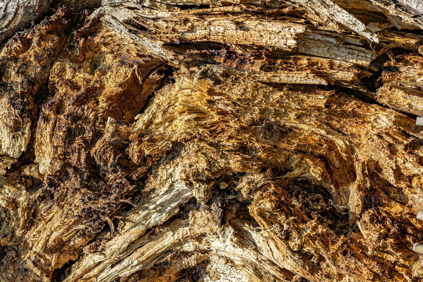 Textured plaster and paint background to create a background or textures for the design of a beautiful grunge background. Panoramic abstract decorative background photo