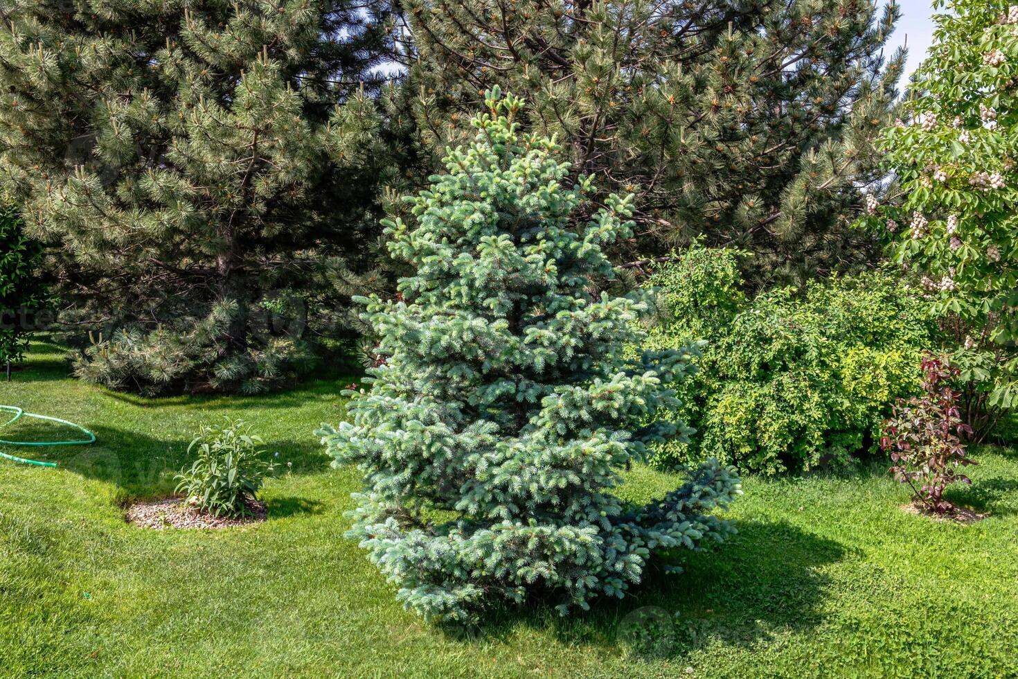 Theme for landscape design photo
