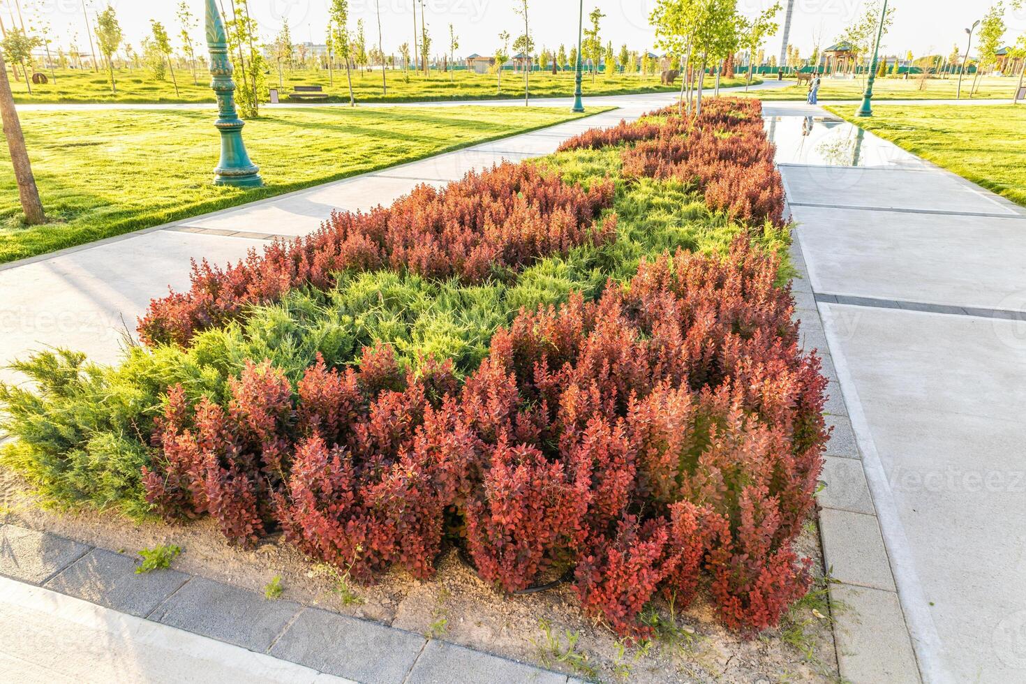 Theme for landscape design photo