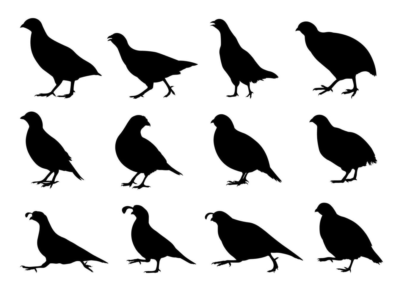 Quail silhouette illustration set vector