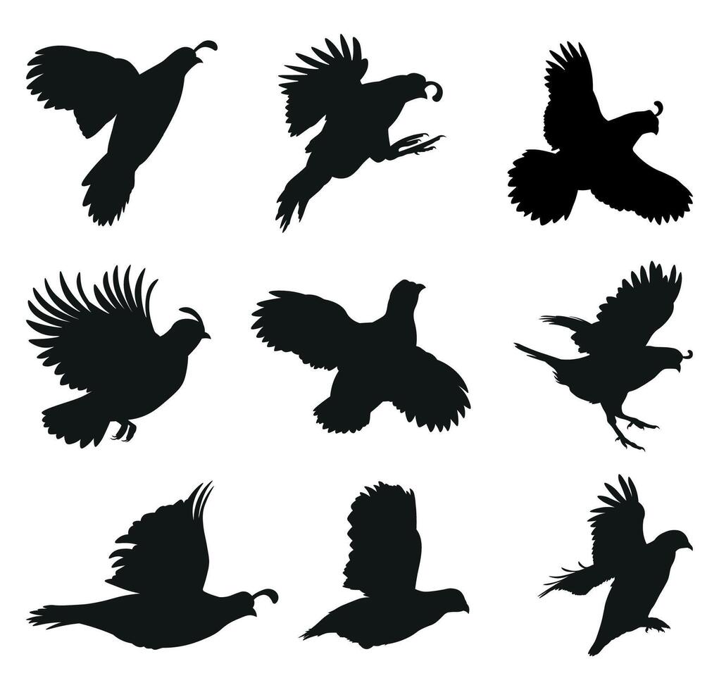 Quail flying silhouette illustration set vector