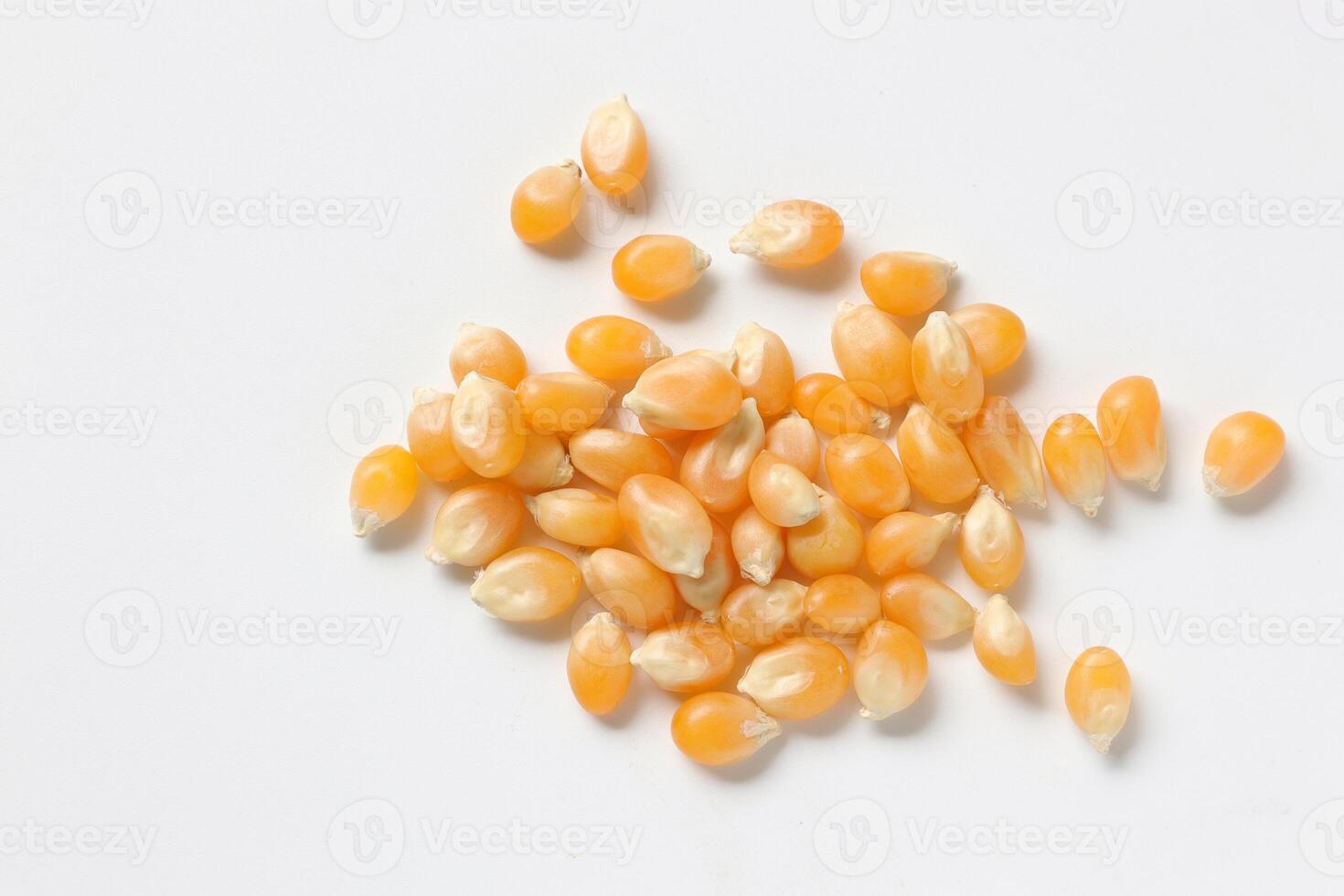 Closeup of corn, corn seeds photo