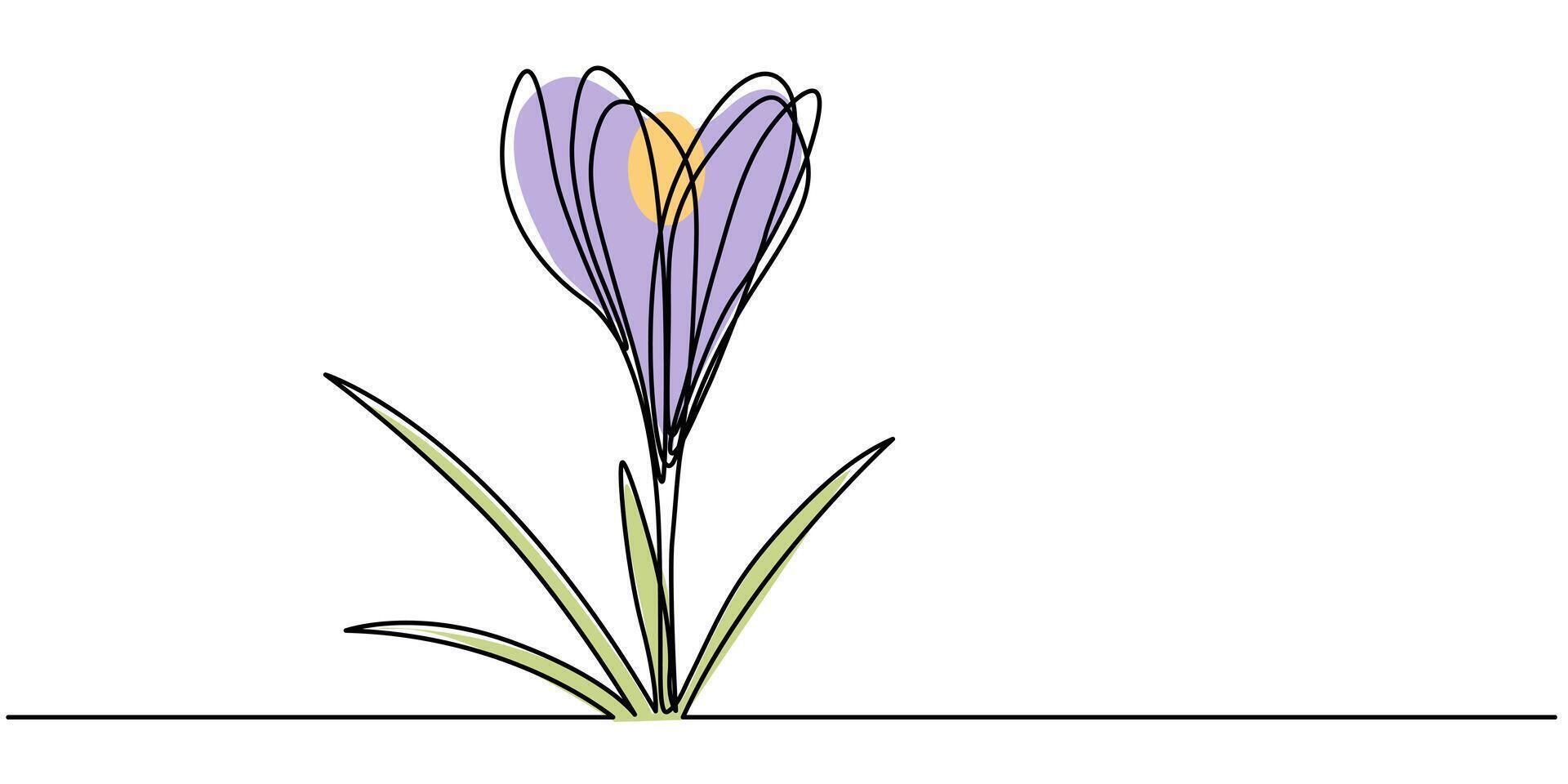 Group of spring crocus flowers in continuous line art drawing vector