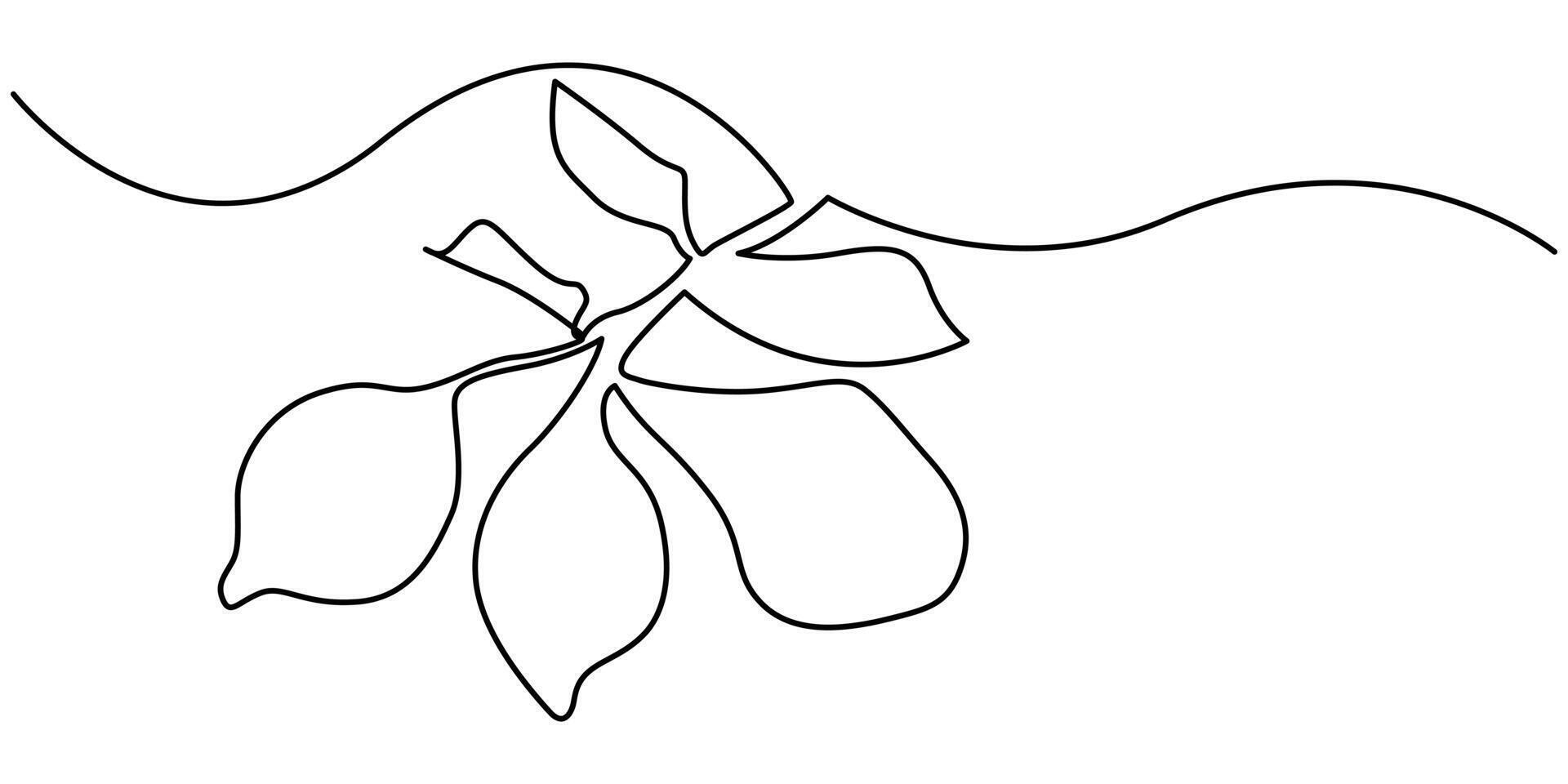 Continuous Line Drawing Of Lemon Fruit Branch with Leaves Black Sketch Isolated on White Background vector