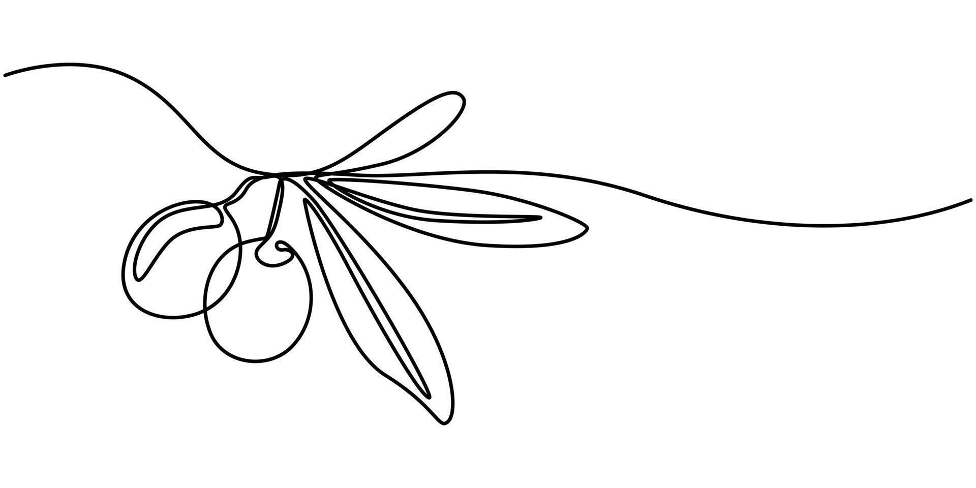 olive branch one line art illustration graphic style vector