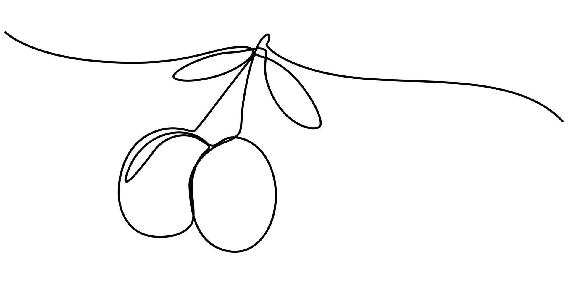 Olives in continuous one line drawing sign vector