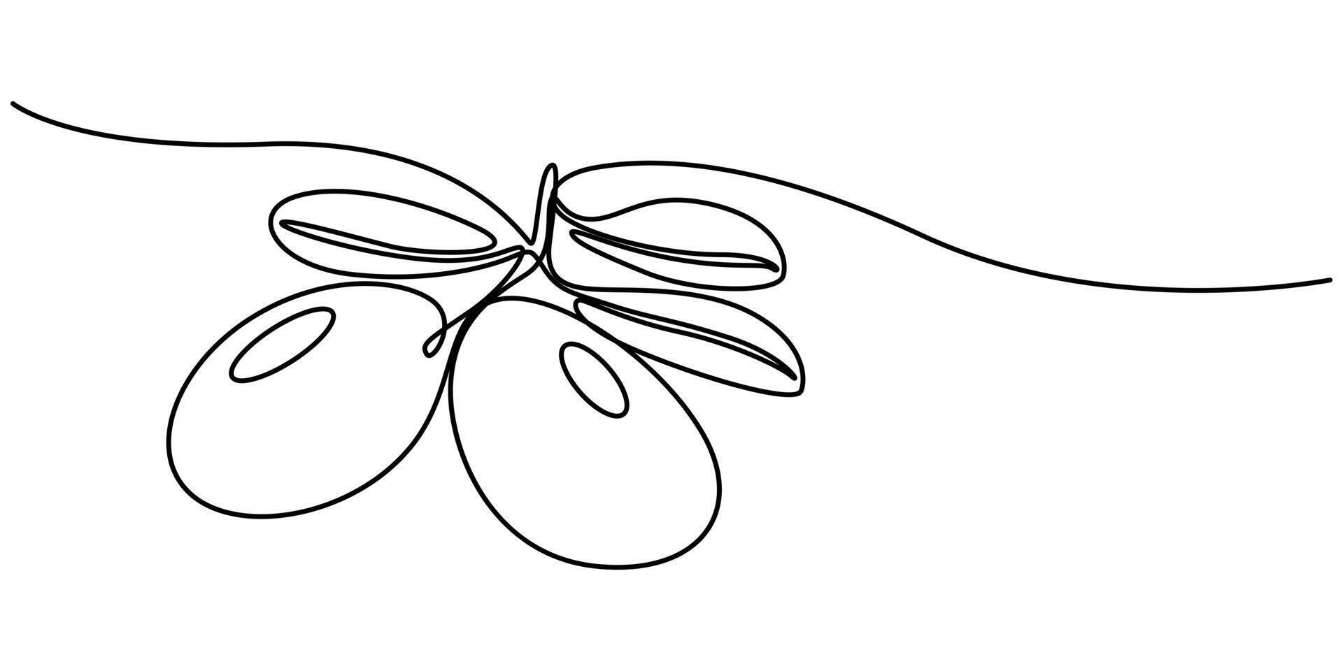 Continuous Line Drawing of Olive Icon Hand Drawn Symbol Illustration vector