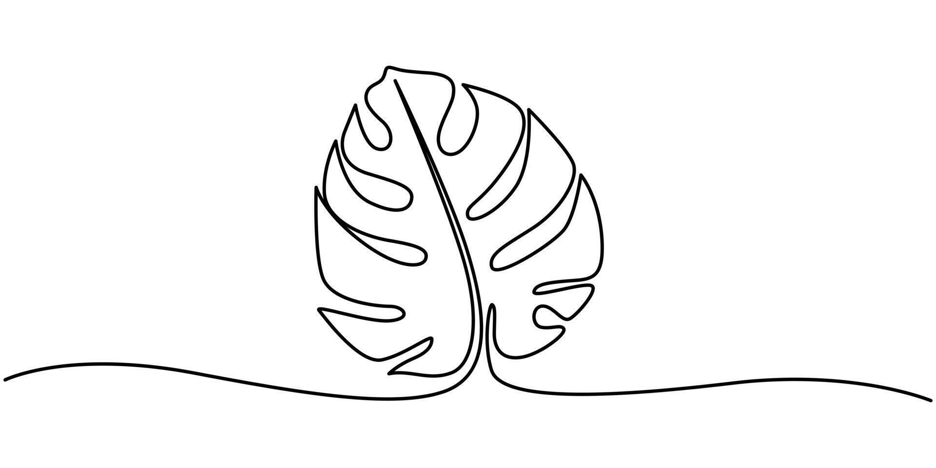 Monstera Swiss Cheese Plant Leaf Continuous Line Drawing vector