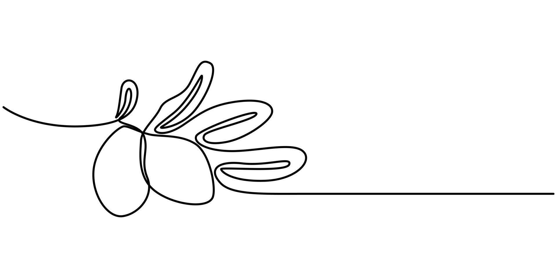 Olive Single Line Icon vector