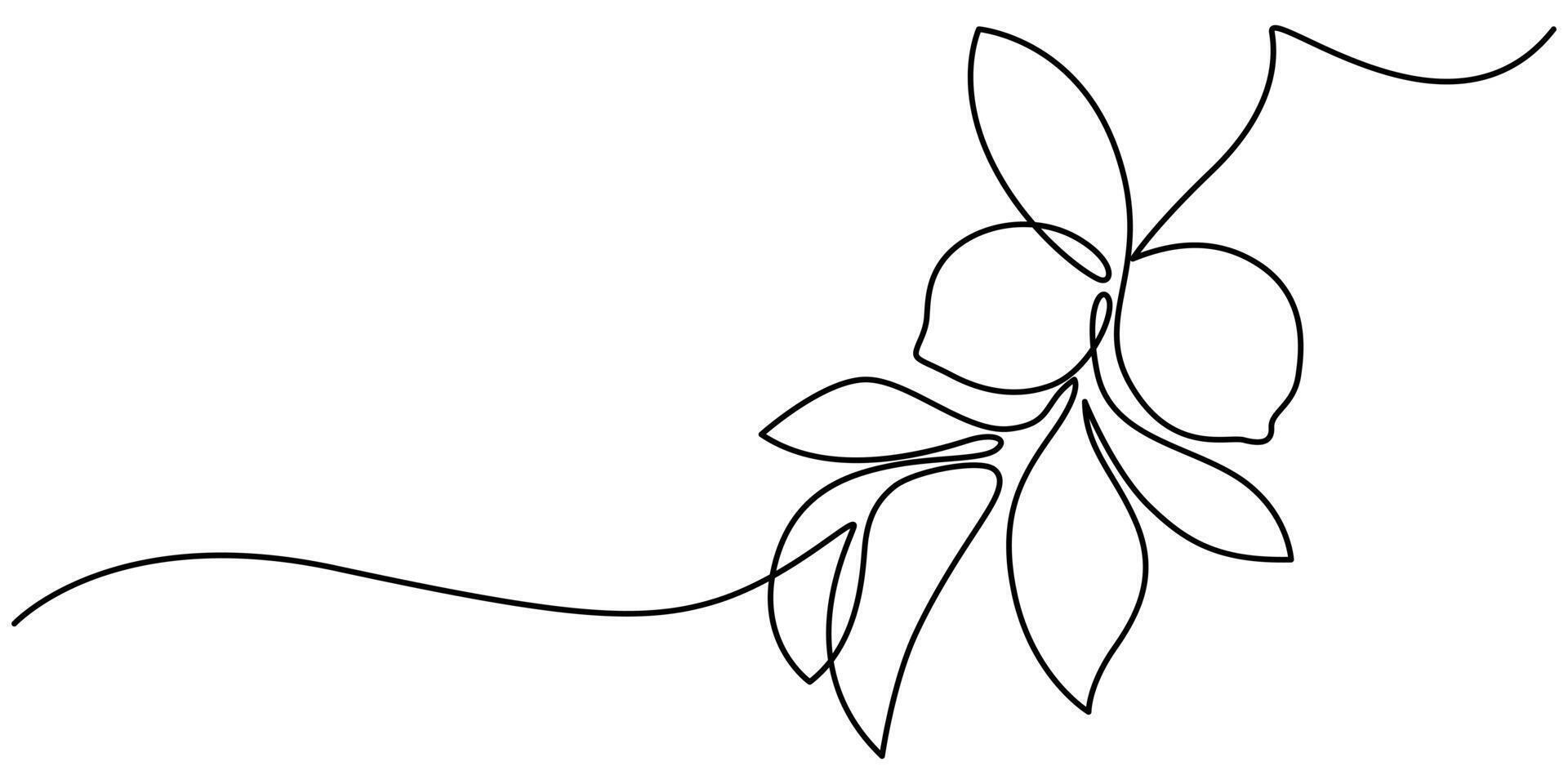 Bright lemons on a branch with leaves style continuous line drawing vector