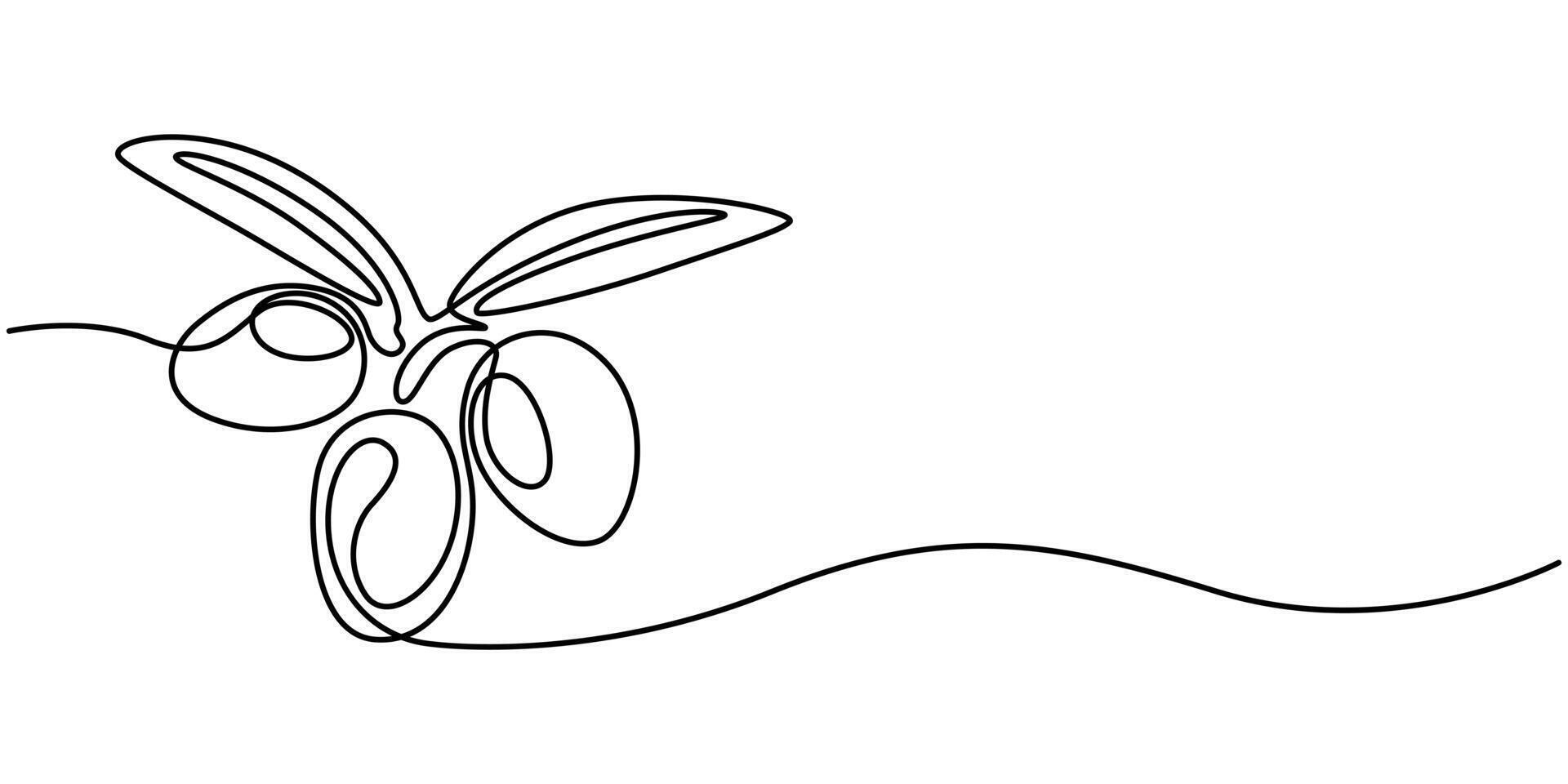Continuous one line drawing Olive oil label design vector