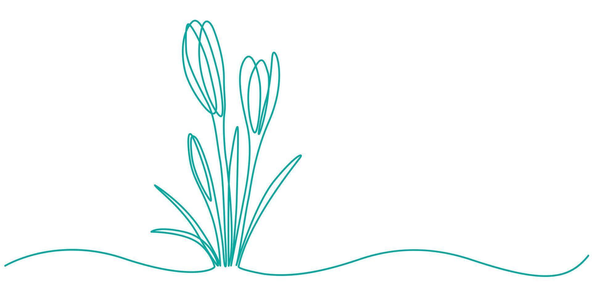 Continuous one line drawing of a snowdrops illustration vector