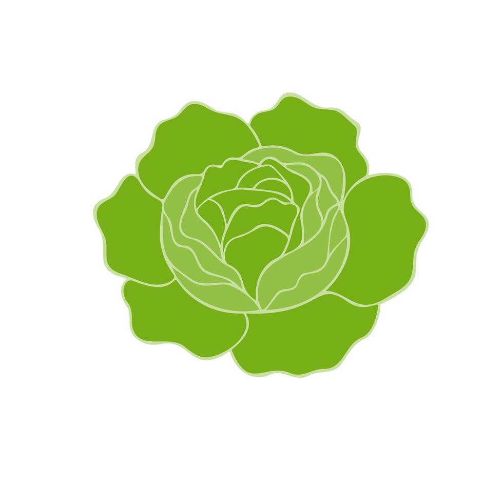 Fresh green organic lettuce, cabbage, healthy meal option icon logo isolated. vector