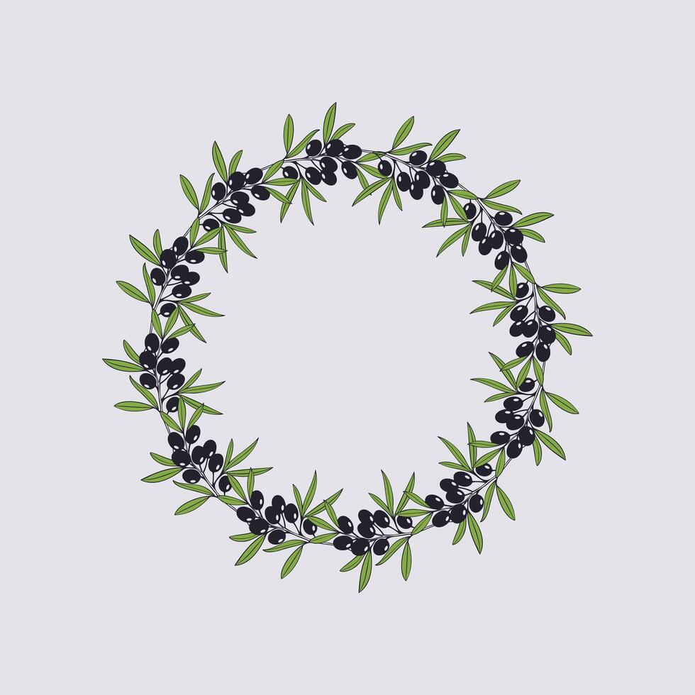 Olive branches wreath, hand drawing twigs on white background. vector