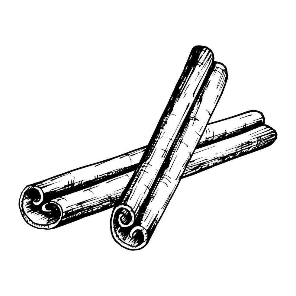 Hand drawn illustration of crossed cinnamon sticks in detailed black and white line art. Perfect for use in culinary, holiday and aromatic themed designs, packaging and creative projects. vector