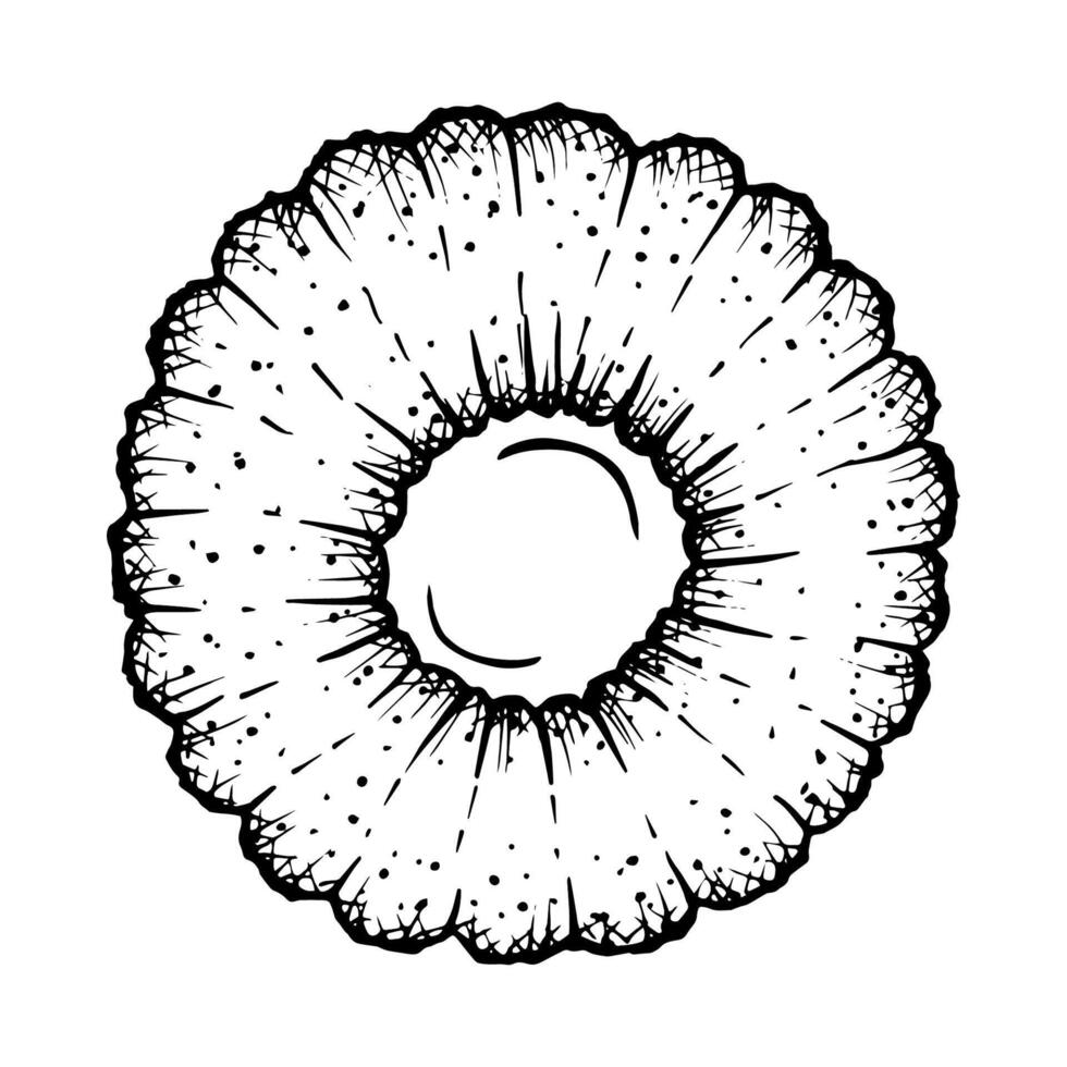 illustration of round shaped Linzer cookies with a jam filling center. Clipart for design purposes. Black and white detailed ink style drawing, perfect for bakery, food and Christmas projects vector