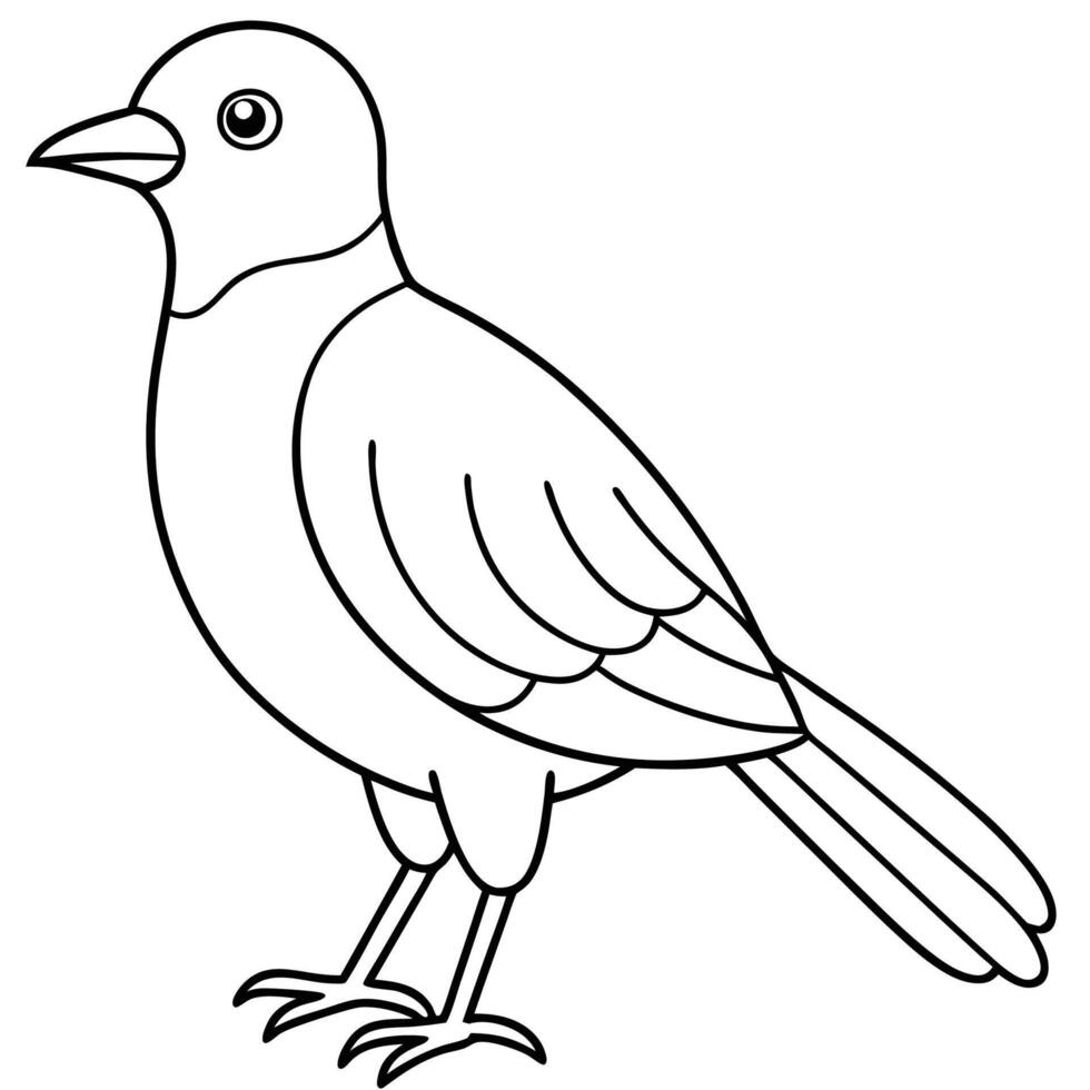 Creative Bird Outline for Kids vector