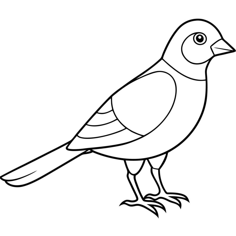 Charming Bird Outline for Art vector