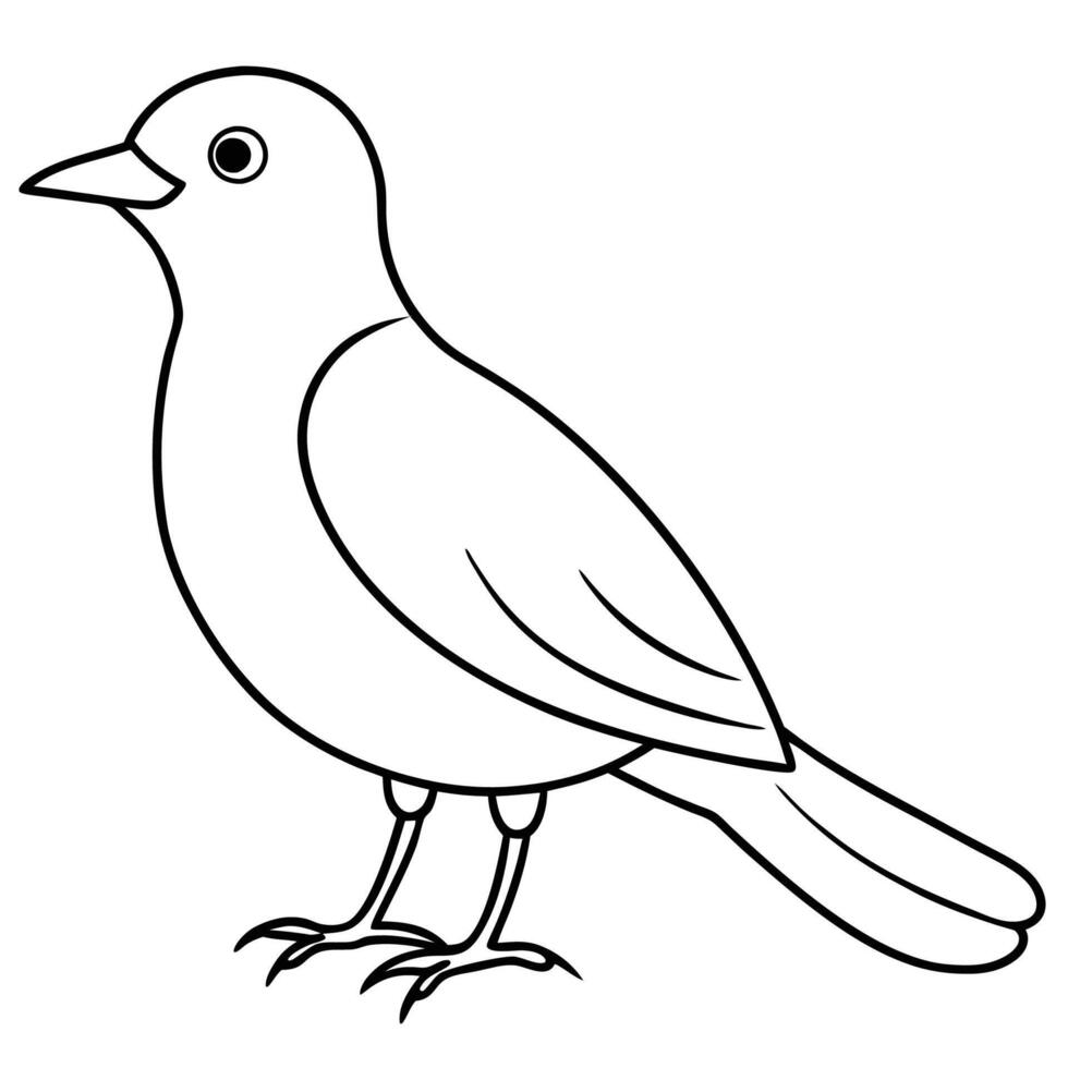 Beautiful Bird Outline for Coloring vector