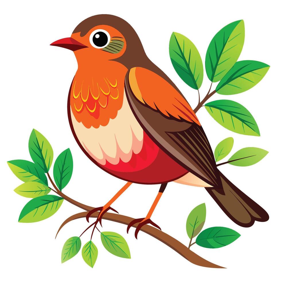 Outline of American Robin vector