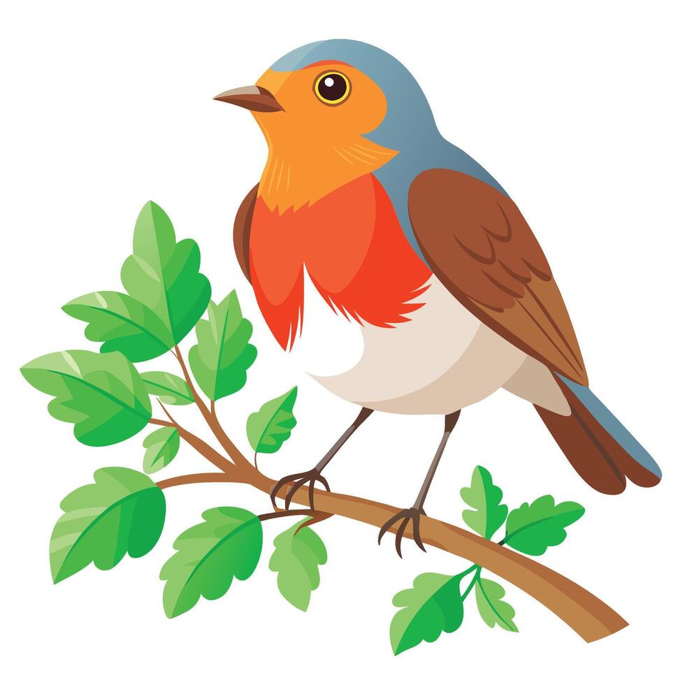 Robin Bird Outline vector