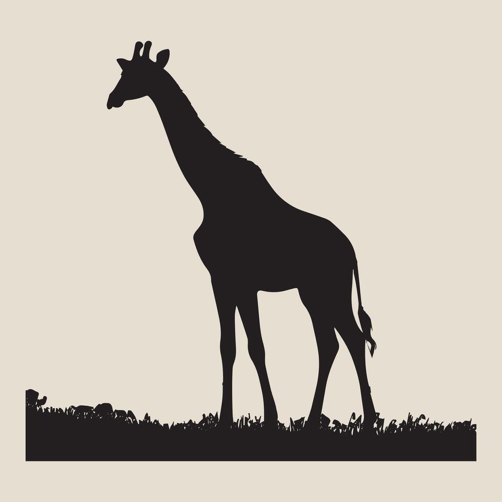 a giraffe is standing vector