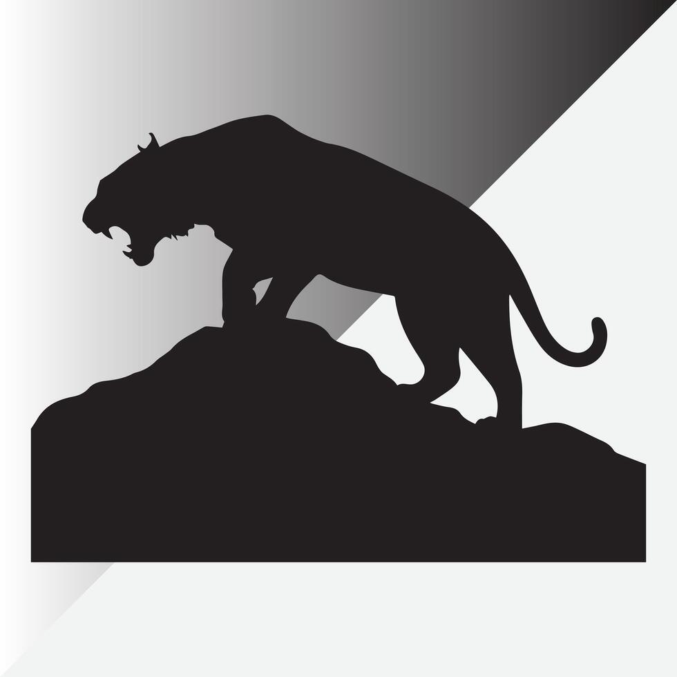 a picture of a leopard on a white background vector