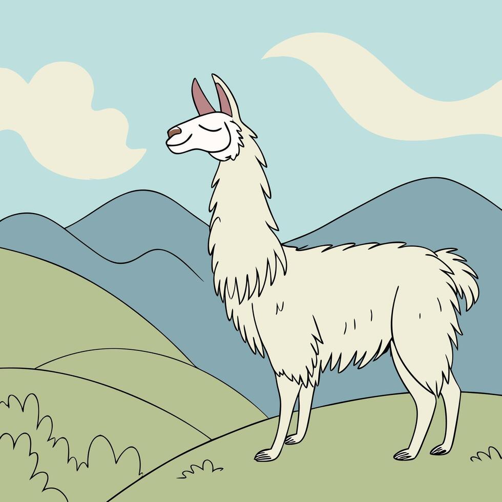 Illustration of a llama standing on a hill vector